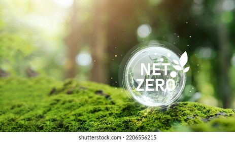 Carbon neutral and net zero concept natural environment A climate-neutral long-term strategy greenhouse gas emissions targets Globe globe with green net center icon. - Shutterstock ID 2206556215