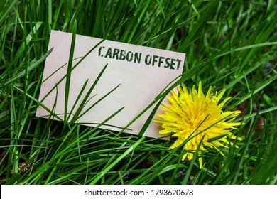 Carbon Offset Message Business Card