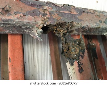 Carbon Steel Tube Damage Severe Corrosion Stock Photo 2081690095 ...