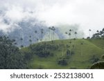 Carbonera, Salento, trees, wax trees, biodiversity, Columbia, South America, Backpacking, architecture, colourful houses, 