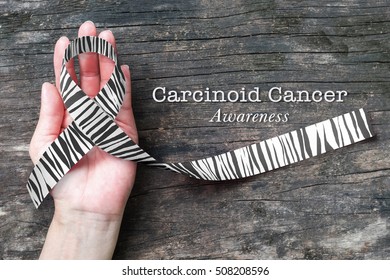 Carcinoid Cancer Awareness Ribbon Zebra Stripe Pattern On Helping Hand