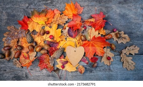 card of heart shape and fallen bright leaves, acorns, cones on wooden boards. Autumn natural Background. symbol of fall season. flat lay	 - Powered by Shutterstock