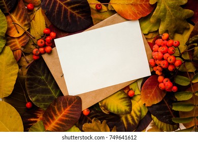 Card Mockup With Autumn Leaves And  Rowan. Flat Lay Fall Invitation With Copy Place