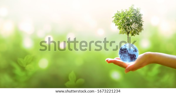 Card for World Earth Day or Arbor Day. Blue\
glass globe ball and tree in human hand on blurred green\
background. Saving environment, save, protect clean planet and\
ecology, sustainable\
lifestyle.