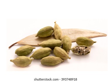 小豆蒄