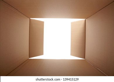 Cardboard Box, Inside View