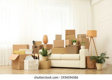 Cardboard boxes, potted plants and household stuff indoors. Moving day - Shutterstock ID 1934596586