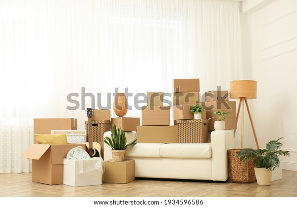 Cardboard boxes, potted plants and household stuff\
indoors. Moving day