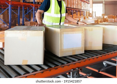 Cardboard boxes sorting on rollers conveyor belt. Worker moving boxes into storage warehouse.  - Shutterstock ID 1915421857