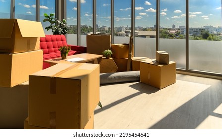 Cardboard Boxes Stacked, Plants, Comfortable Couch Near Big Window Inside Of Modern Living Room In New House, Celebrating Moving To New Home Concept, No People