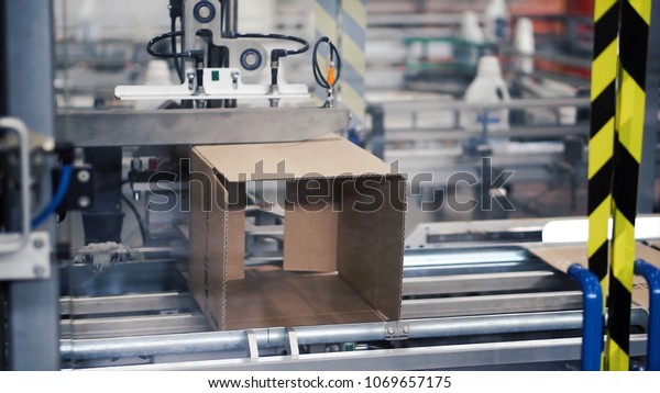 Cardboard package box packing machine. Clip. Box\
forming production\
line