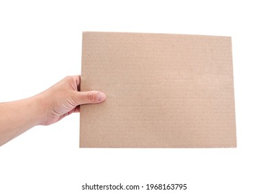 Cardboard Sheet In The Girl's Hand Isolated On A White Background. Copy Space. Place For Your Text.