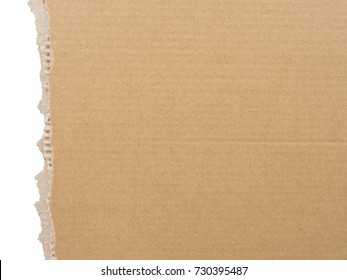 Cardboard Torn Edge. Cardboard Background Isolated On White