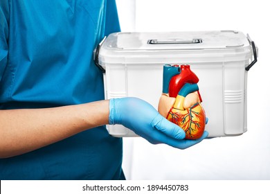 Cardiac Surgeon With Organ Transport And Anatomical Model Of The Human Heart, On A White Background. Concept Of A Heart Transplant And Organ Donation