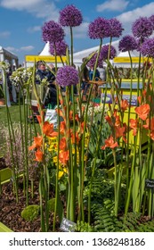 Cardiff, Wales, UK. 04/12/2019 RHS Cardiff Flower Show