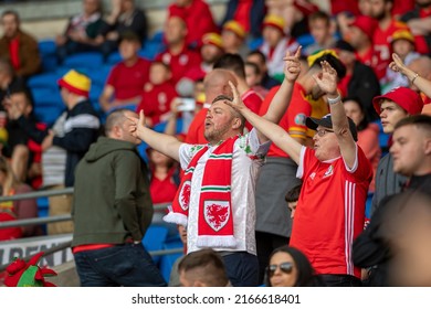 Cardiff,Wales UK, 11622: Wales Fans At The Cardiff City Stadium 