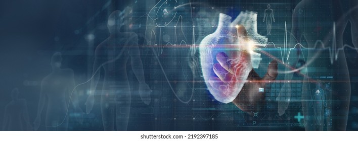 Cardiologist Doctor Diagnosis Patient Heart Functions And Blood Vessel On Virtual Dashboard. Medical And  Healthcare Technology Testing Diagnose Heart Disorder And Disease Of Cardiovascular System.