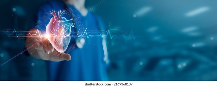 Cardiologist doctor examine patient heart functions and blood vessel on virtual interface. Medical technology and healthcare treatment to diagnose heart disorder and disease of cardiovascular system.