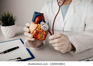 Cardiologist Holding Anatomical Heart Model And Stethoscope In His Office, Heart Attack Concept.