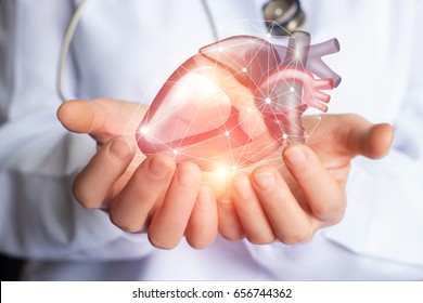 Cardiologist Supports The Heart Of Man Hands.