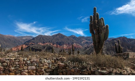 Cardones - The Pucará De Tilcara Is A Pre-Inca Fortification Or Pukara Located On A Hill Just Outside The Small Town Of Tilcara, In The Argentine .