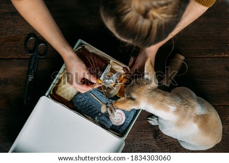 Care box, package ideas. Woman and her dog fold a care box with sweets and warm clothes. Care Package Delivery, Fall Winter holidays Food Care gift box. Selective focus on box