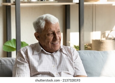 Carefree elderly male relaxing at home seated on comfy couch smiling staring into distance feels happy looks untroubled. Good, wealthy, wellbeing life on retirement, healthy older man portrait concept - Powered by Shutterstock