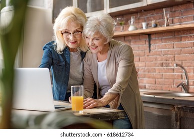 Carefree Mature Female Friends Using Computer In Kitchen