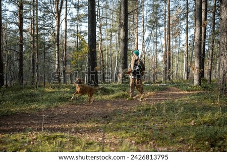 Carefree middle-aged pet owner spending pastime in pine forest hiking, walking with dog. Purebred puppy magyar vizsla running, jumping, frisking around. Recreation in wild scandinavian intact nature 