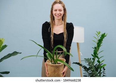 Carefree young woman with stylish blond afro braids over blue background. She's posing for a photo with big potted plant in hands surrounded by home garden.