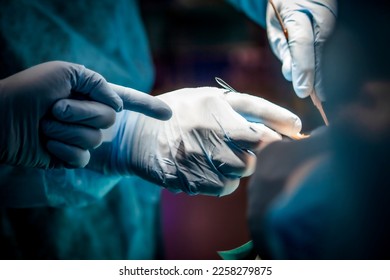 Careful hands of a surgeon guiding her team - Powered by Shutterstock