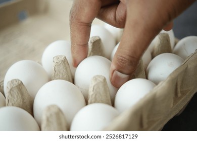 Carefully Hand Selecting Fresh White Eggs from a Carton for Cooking and Culinary Use - Powered by Shutterstock