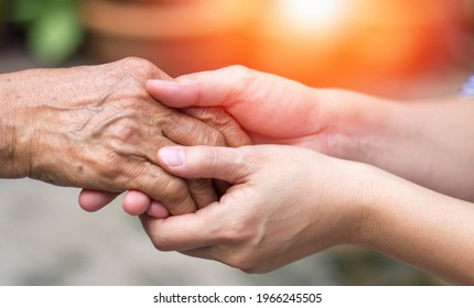 Caregiver, carer hand holding elder hand in hospice care. Philanthropy kindness to disabled concept. - Shutterstock ID 1966245505