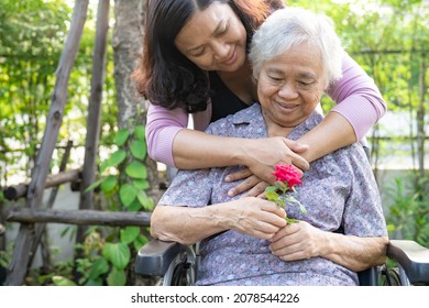 Karriere-Tochter umarmt und hilft asiatischen älteren oder älteren Frauen, die rote Rose auf Rollstuhl im Park halten.