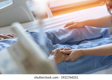 Caregiver And Elderly Senior Patient (aged Old Adult Person) Holding Hands In Hospital Bed Or Nursing Hospice, Geriatrician Palliative Home, While Caretaker Having  Medical Health Care Service