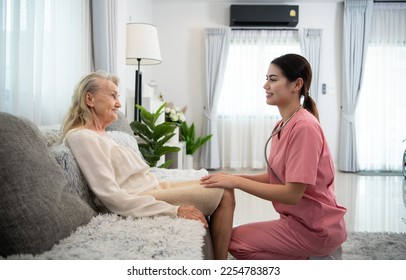 Caregiver for an elderly woman Weekly check-ups at the patient's residence. Ready to give medical advice and talk about various stories, exchange each other happily. - Shutterstock ID 2254783873