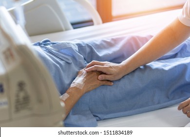 Caregiver Holding Elderly Senior Patient (ageing Old Adult Person) Hand Lying In Hospital Bed Or Nursing Hospice, Geriatrician Palliative Home, While Caretaker Having  Medical Health Care Service  