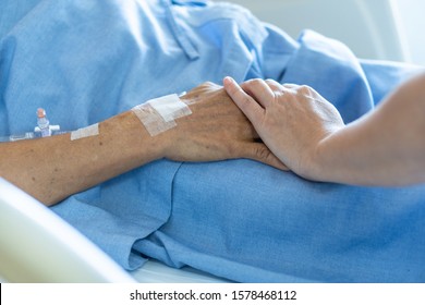 Caregiver Holding Elderly Senior Patient (ageing Old Adult Person) Hand In Hospital Bed Or Nursing Hospice, Geriatrician Palliative Home, While Caretaker Having  Medical Health Care Service