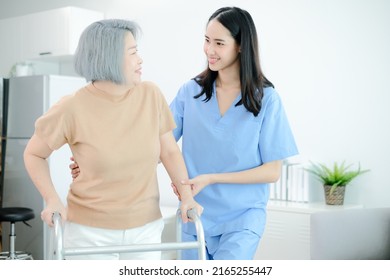 Caregiver Take Care Of Elderly Asian Woman Walking With Walker.