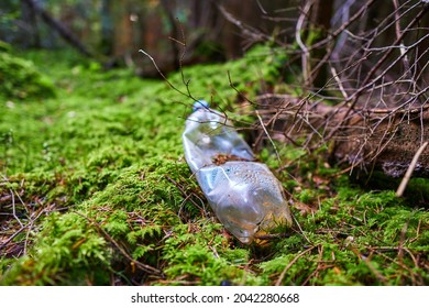 A Carelessly Throw Away Plastic Water Bottle Nestled In The Moss On A Forest Path. Plastic Trash In The Forest. Tucked Nature. Season Of Autumn. World Ecology Problem.