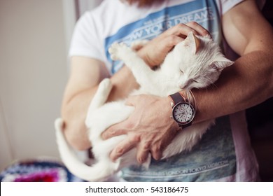 caress cat on strong arms