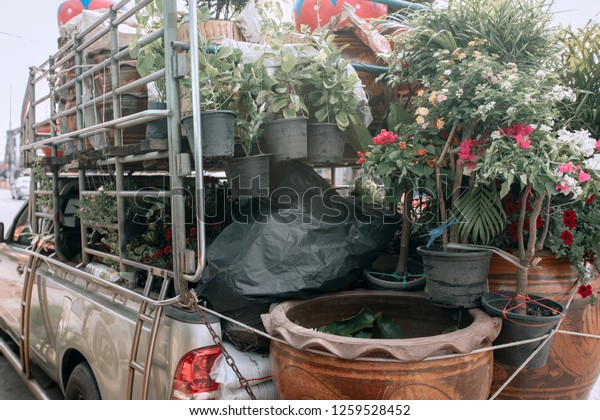 cargo car, in the back of which flower pots with\
flowers for sale. CLOSE UP\
PHOTO