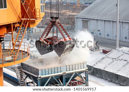 Cargo terminal for unloading grain cargo and containers by shore cranes. Port Guangzhou, China. February, 2019.