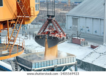 Cargo terminal for unloading grain cargo and containers by shore cranes. Port Guangzhou, China. February, 2019.