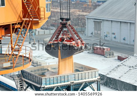 Cargo terminal for unloading grain cargo and containers by shore cranes. Port Guangzhou, China. February, 2019.