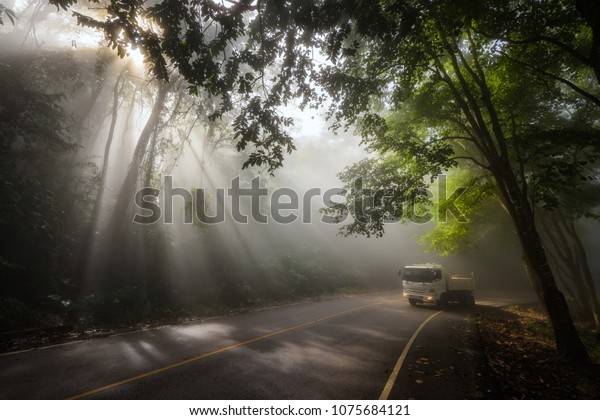 Cargo\
truck driving uphill at scenic local street with mist, sun rays\
light, and beautiful green forest. Business shipment and\
transportation to Phu Chi Fa, Chiang Rai,\
Thailand.
