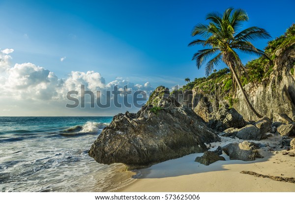 Photo De Stock De Plage Caribéenne Avec Cocotier Tulum