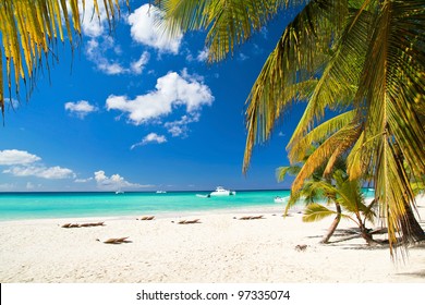 Caribbean beach and palms  paradise island