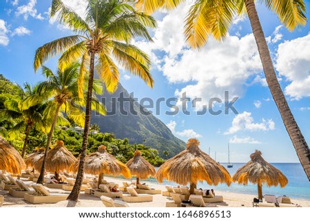 Caribbean beach with palms and straw umrellas on the shore with Gros Piton mountain in the background, Sugar beach, Saint  Lucia
