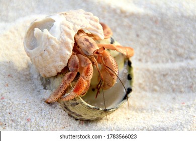 Bonaire Images, Stock Photos & Vectors | Shutterstock